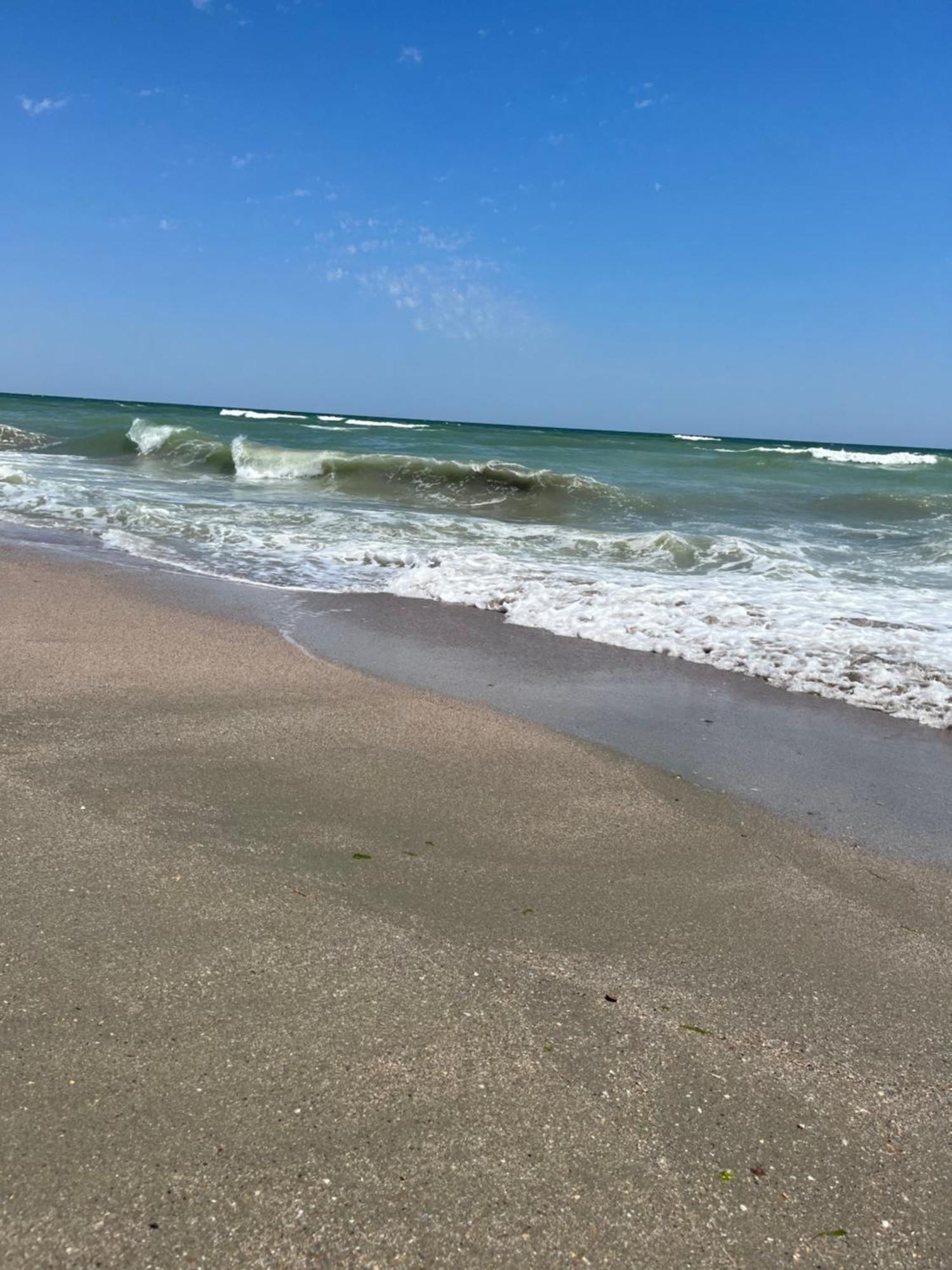 Fratellyvibe Mamaia Daire Dış mekan fotoğraf